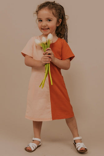 Zaylee Colorblock Dress