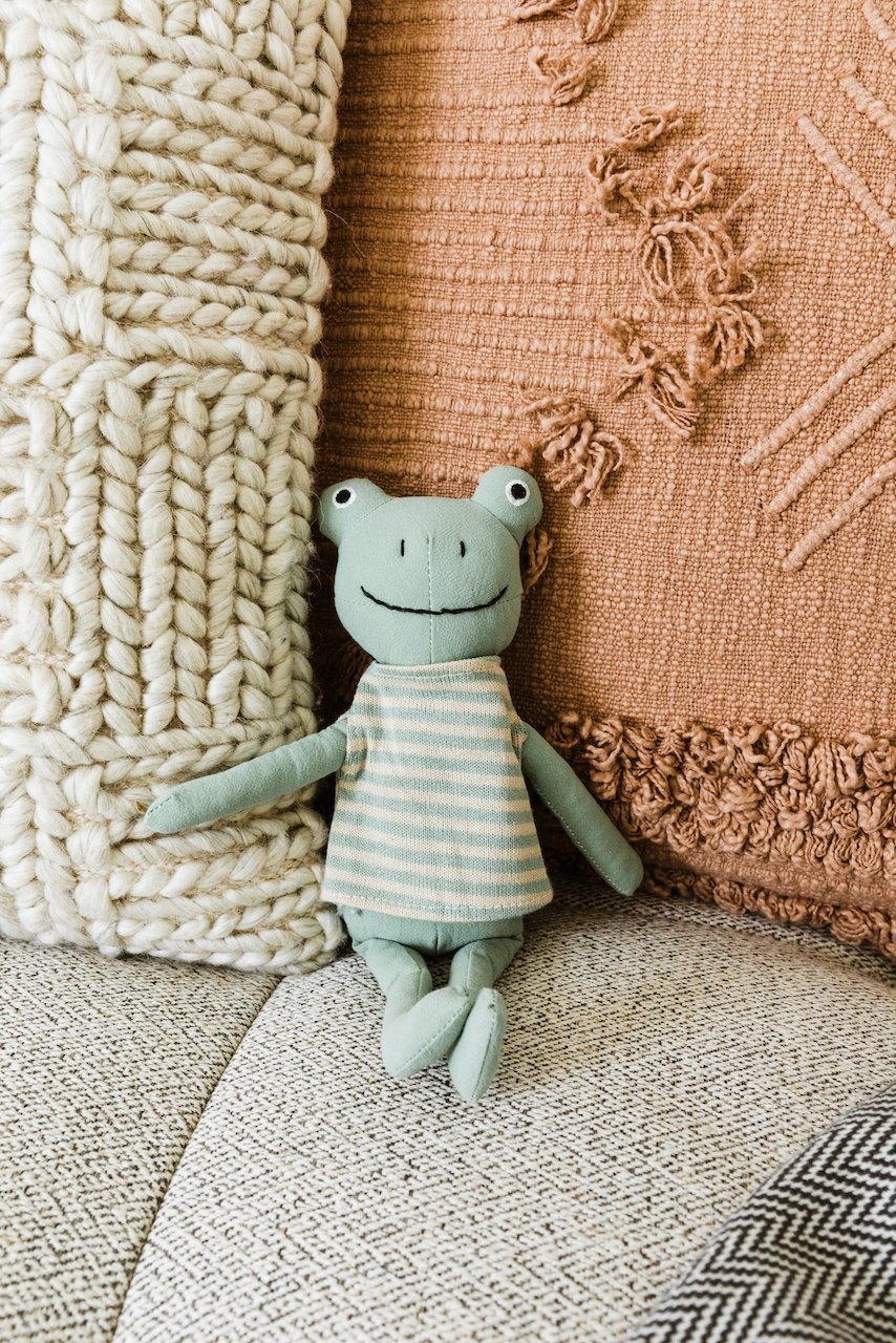 Lily The Frog