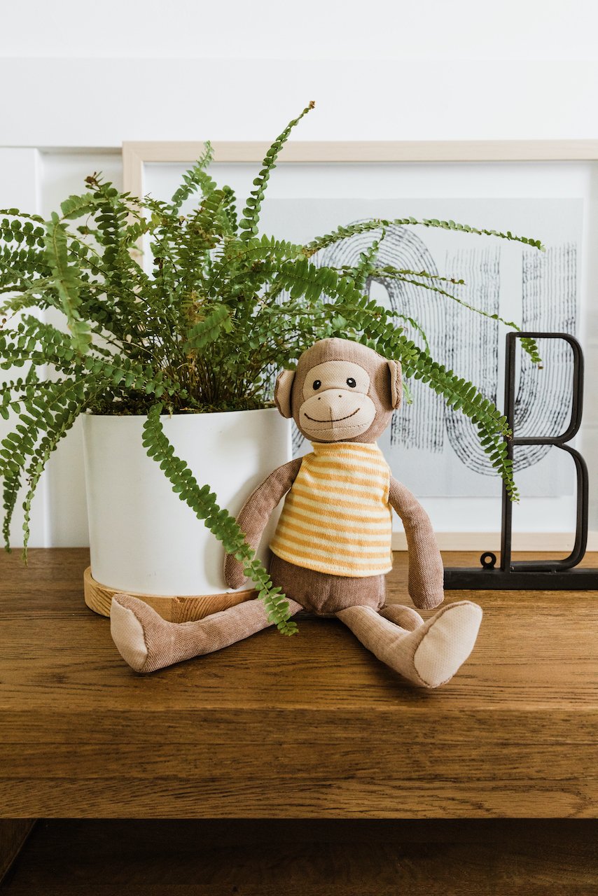 Bananas The Monkey