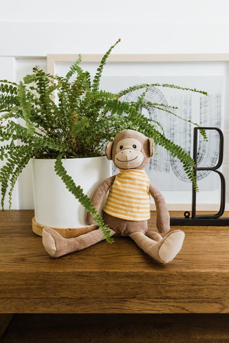 Bananas The Monkey