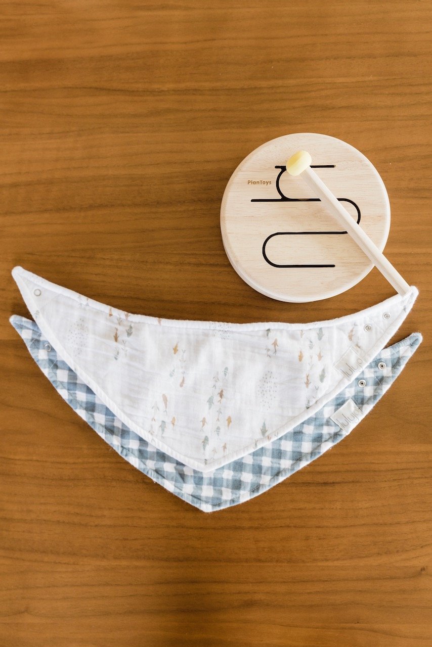 Gingham & Fish Bandana Bibs
