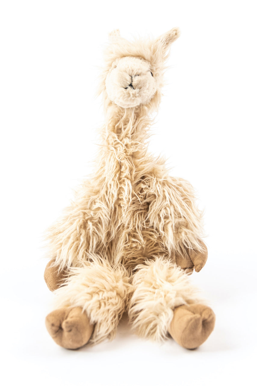Luis the Llama