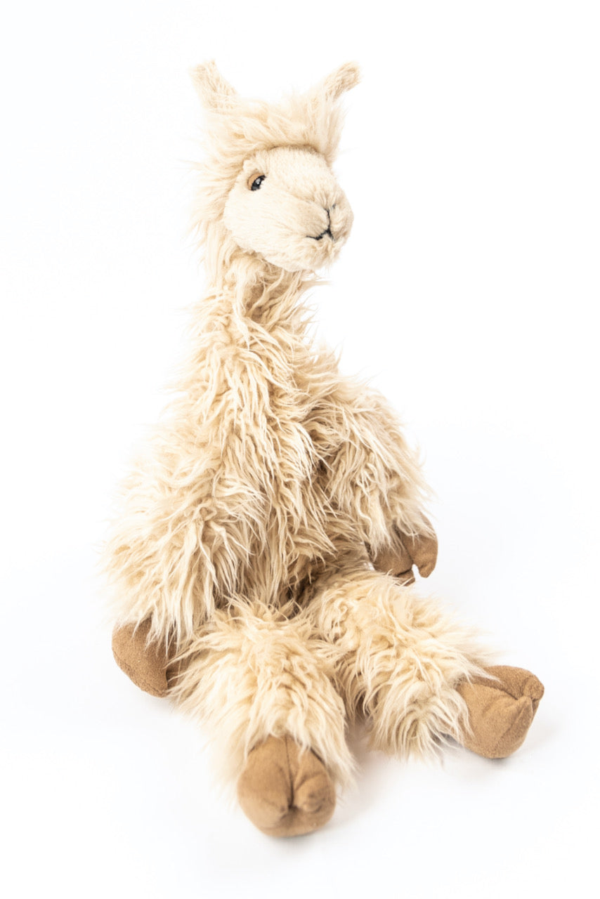 Luis the Llama