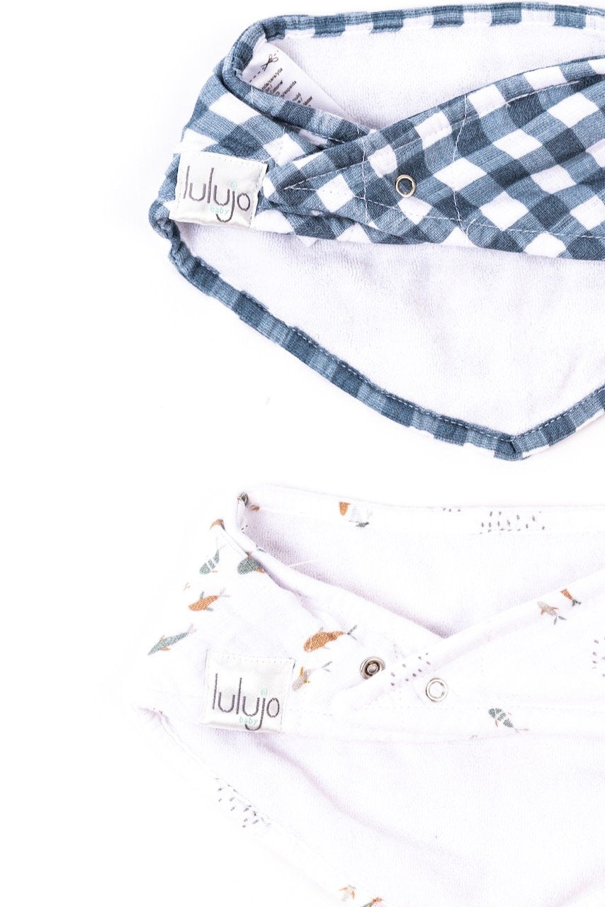 cute bibs for baby boys | ROOLEE