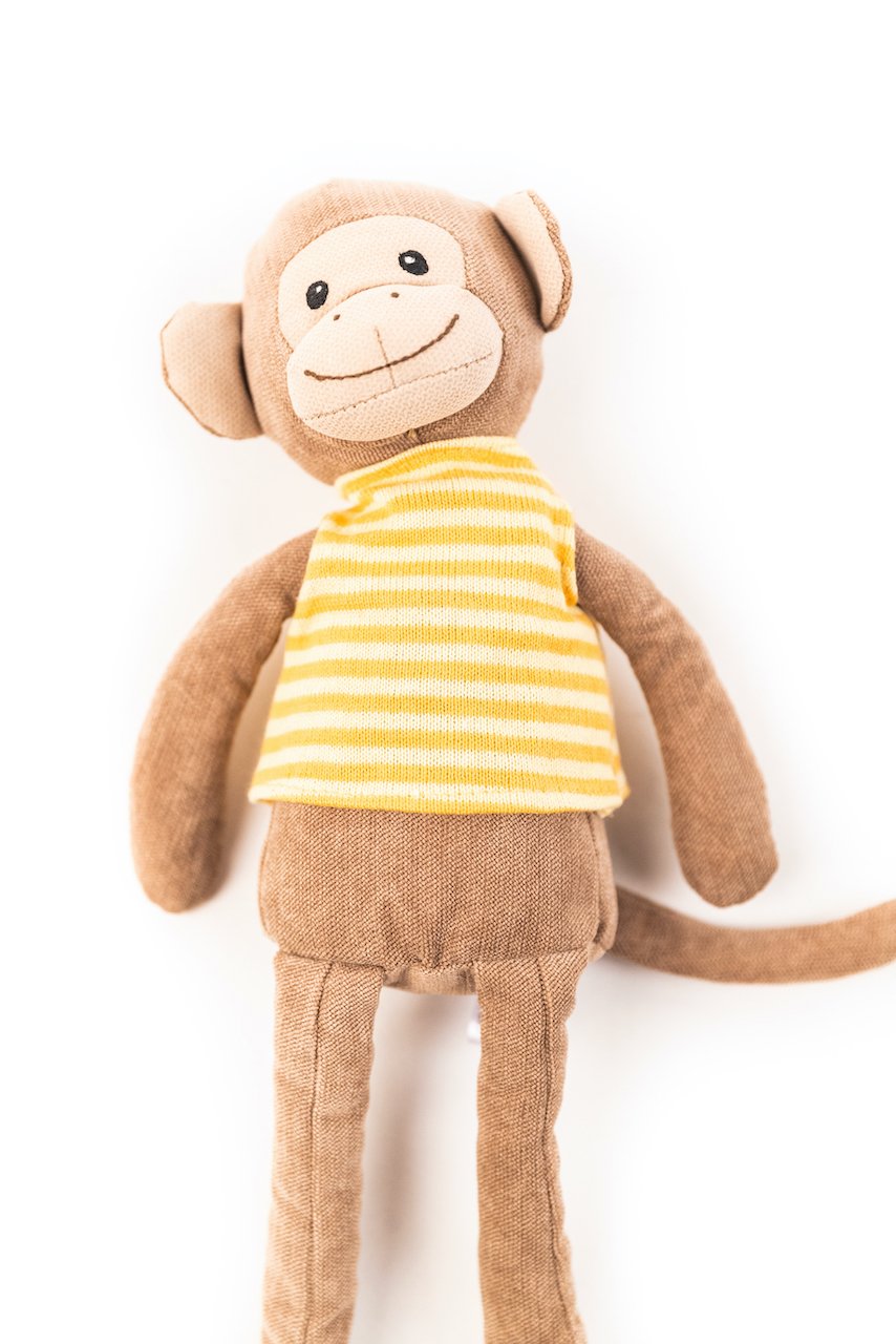 Bananas The Monkey