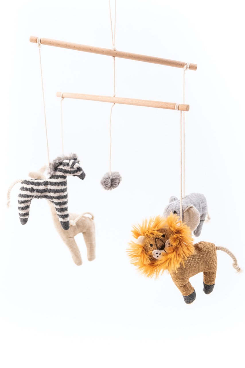 The Safari Exploration Mobile